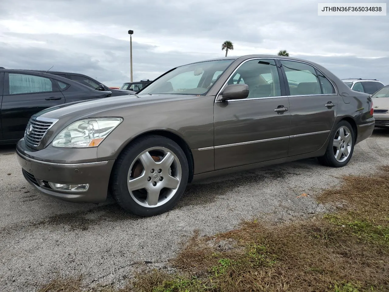 2006 Lexus Ls 430 VIN: JTHBN36F365034838 Lot: 74966384