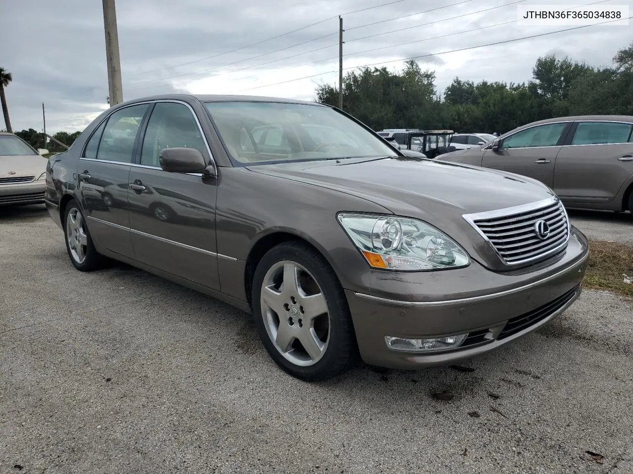 2006 Lexus Ls 430 VIN: JTHBN36F365034838 Lot: 74966384