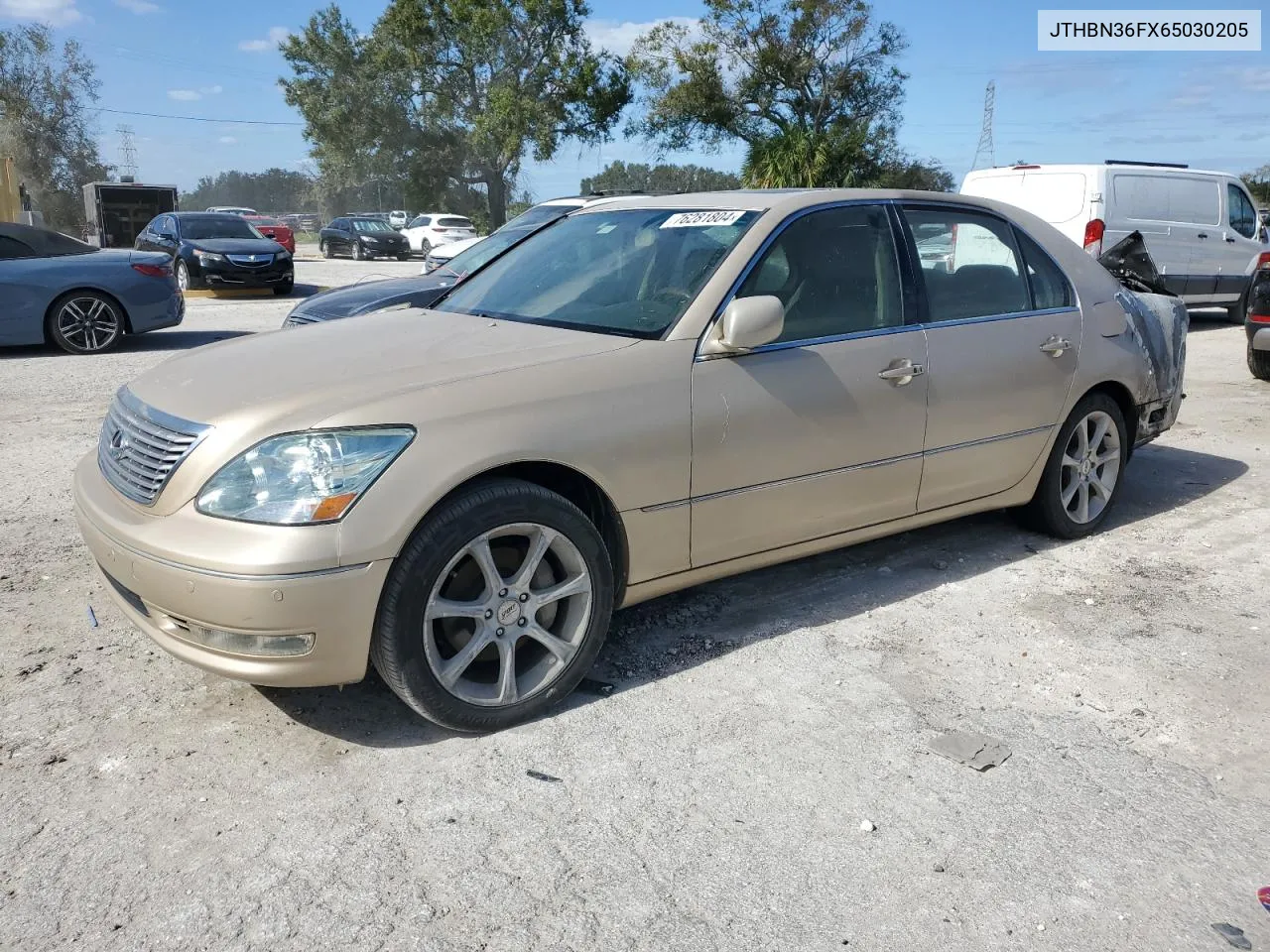 2006 Lexus Ls 430 VIN: JTHBN36FX65030205 Lot: 76281804