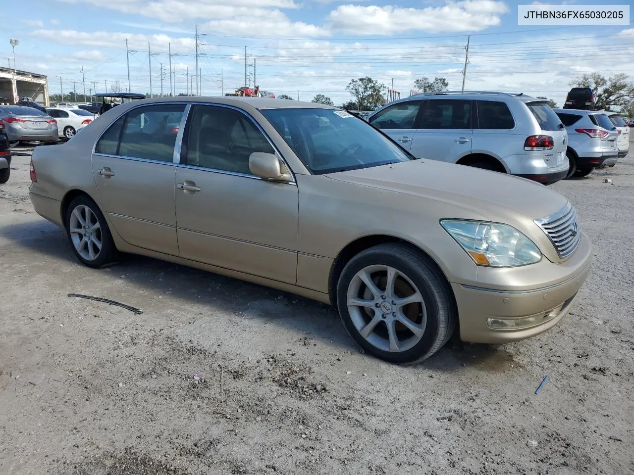 2006 Lexus Ls 430 VIN: JTHBN36FX65030205 Lot: 76281804