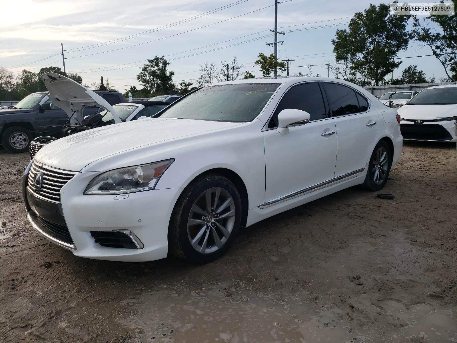 2014 Lexus Ls 460 VIN: JTHBL5EF9E5127509 Lot: 67193624