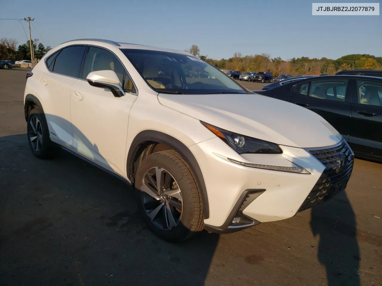 2018 Lexus Nx 300H VIN: JTJBJRBZ2J2077879 Lot: 74330414