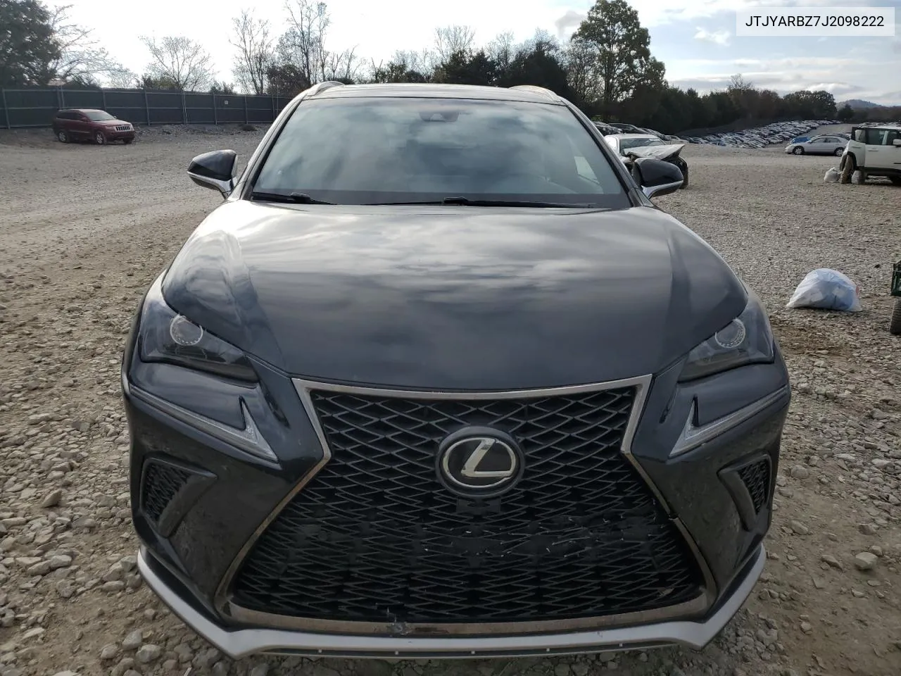 2018 Lexus Nx 300 Base VIN: JTJYARBZ7J2098222 Lot: 79924114