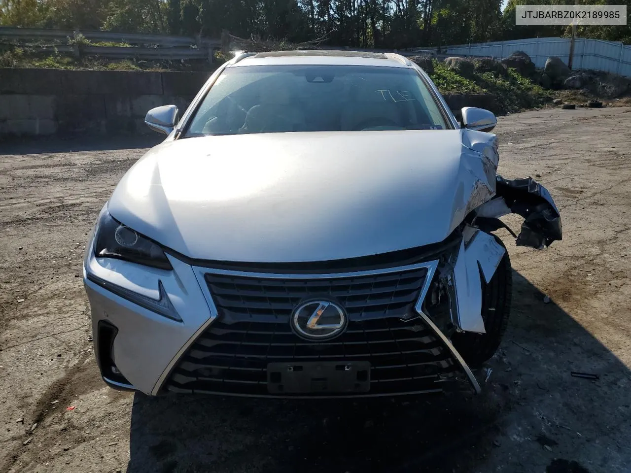 2019 Lexus Nx 300 Base VIN: JTJBARBZ0K2189985 Lot: 75627284