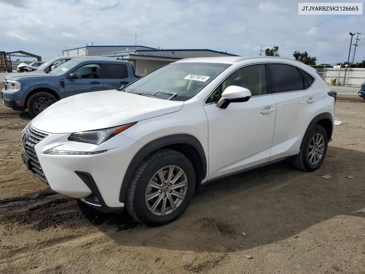 2019 Lexus Nx 300 Base VIN: JTJYARBZ5K2126665 Lot: 76875814