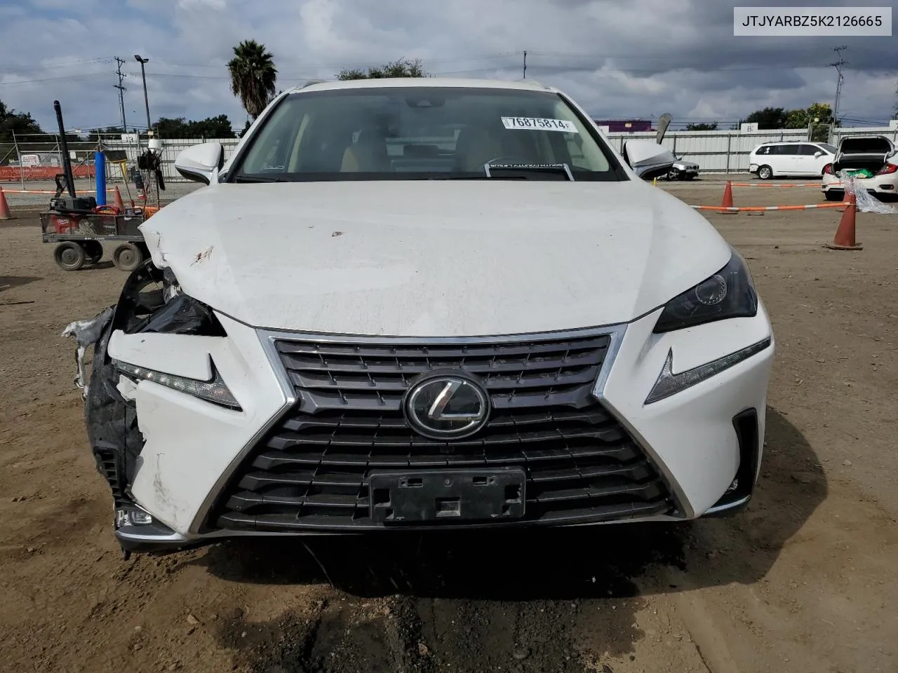 2019 Lexus Nx 300 Base VIN: JTJYARBZ5K2126665 Lot: 76875814