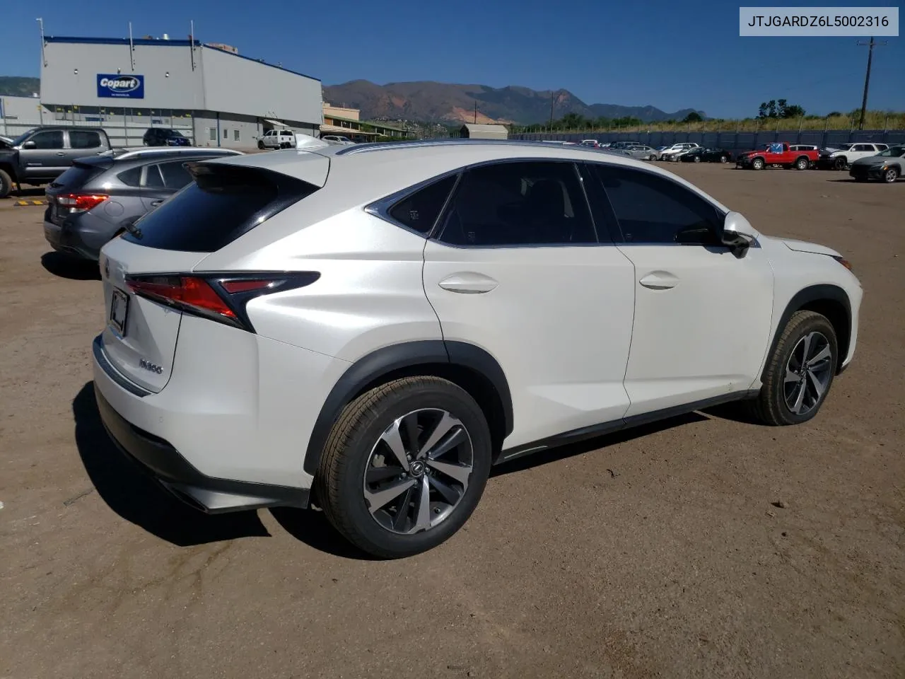 2020 Lexus Nx 300 VIN: JTJGARDZ6L5002316 Lot: 60049364