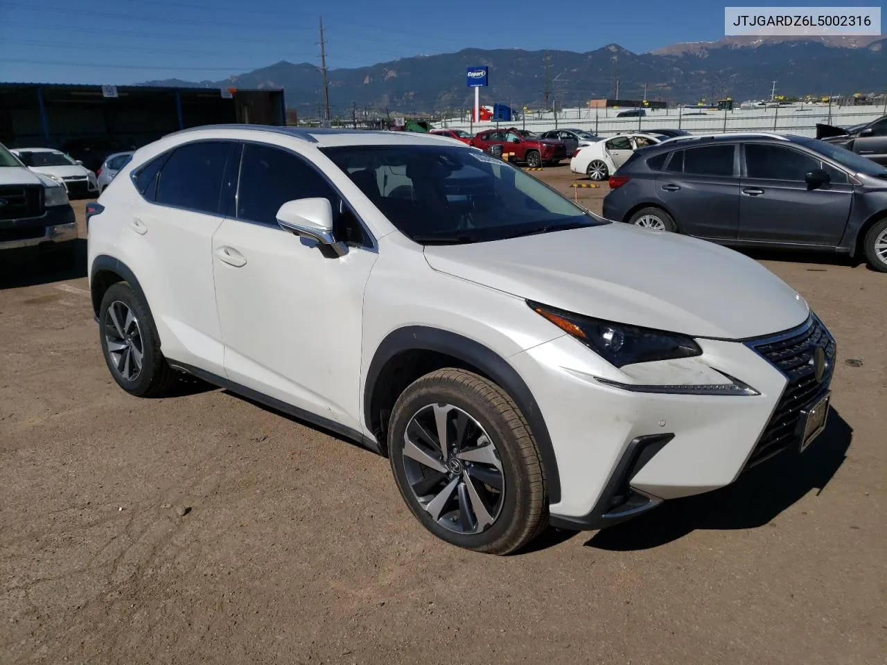 2020 Lexus Nx 300 VIN: JTJGARDZ6L5002316 Lot: 60049364