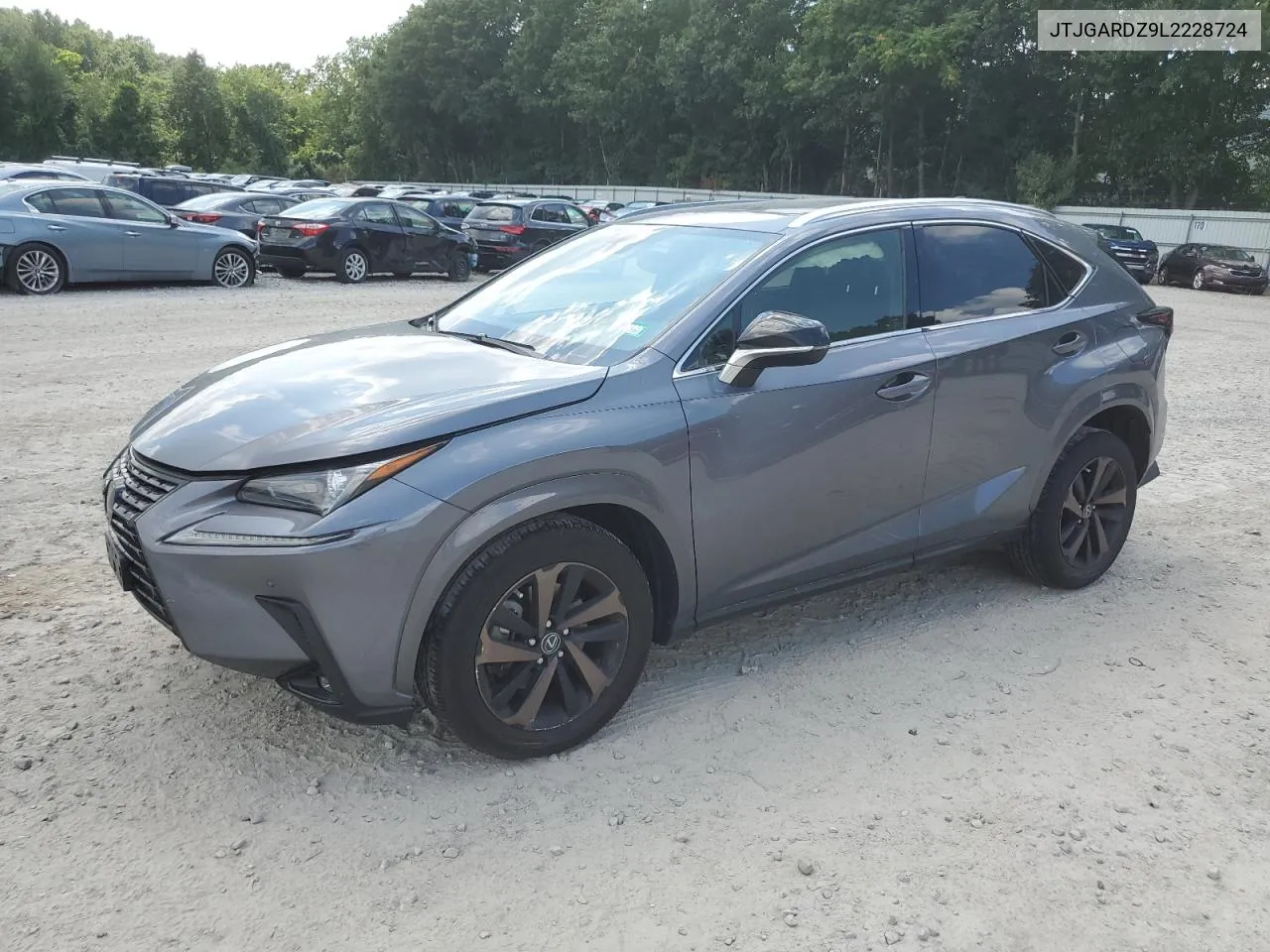 2020 Lexus Nx 300 VIN: JTJGARDZ9L2228724 Lot: 62430344