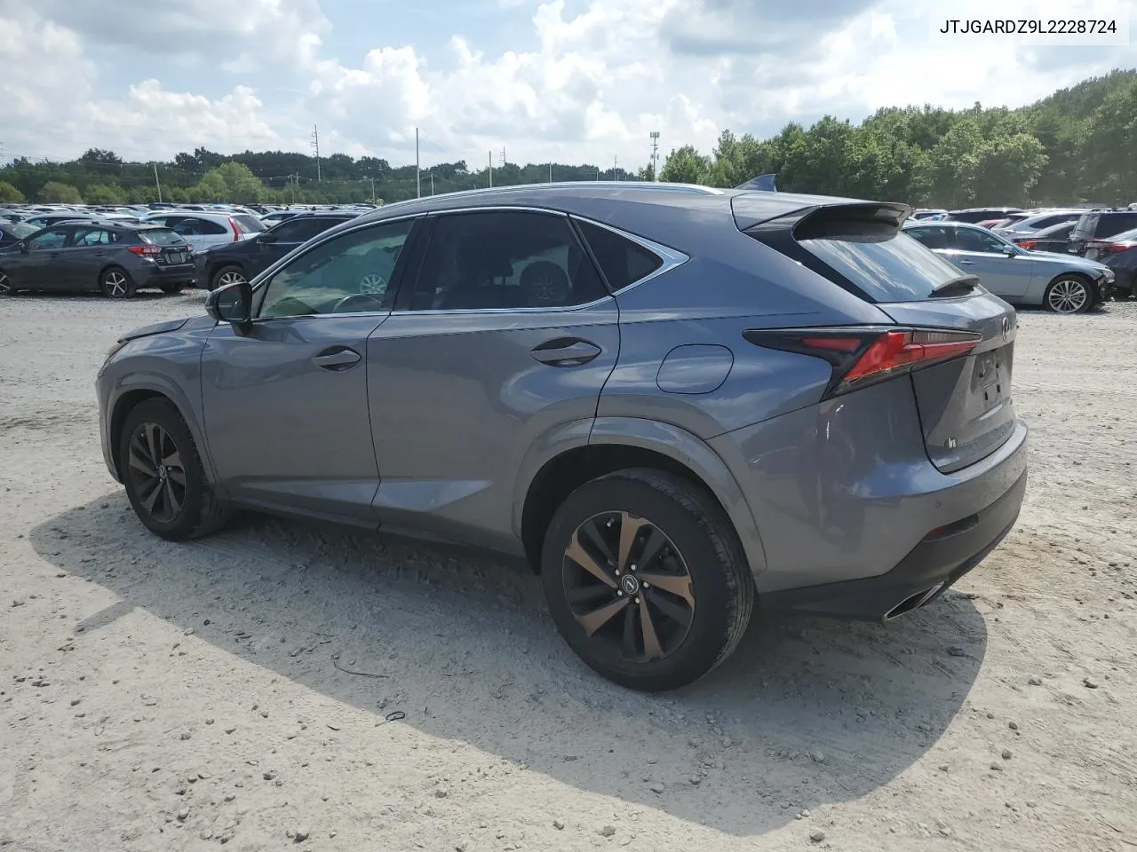 2020 Lexus Nx 300 VIN: JTJGARDZ9L2228724 Lot: 62430344