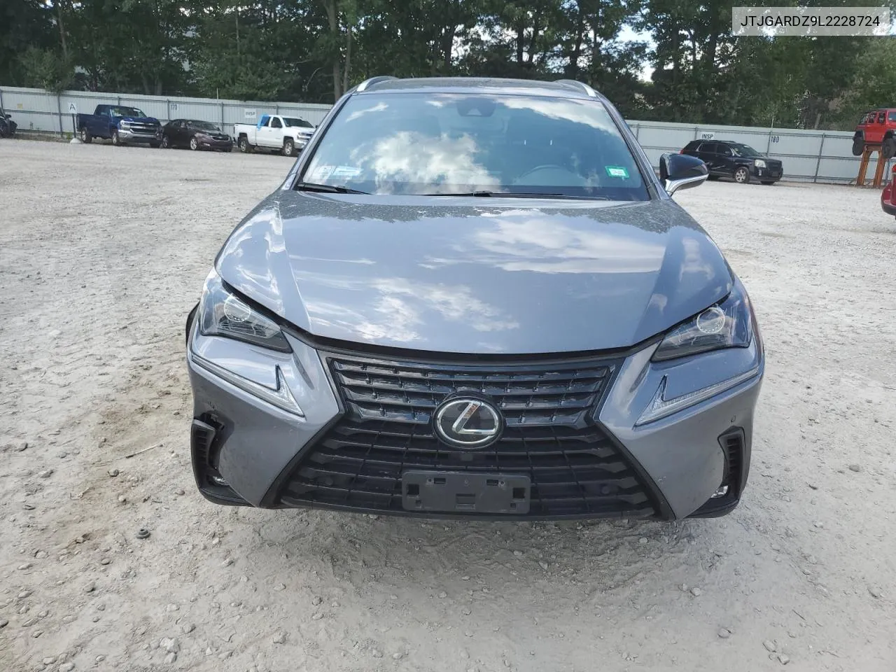 2020 Lexus Nx 300 VIN: JTJGARDZ9L2228724 Lot: 62430344