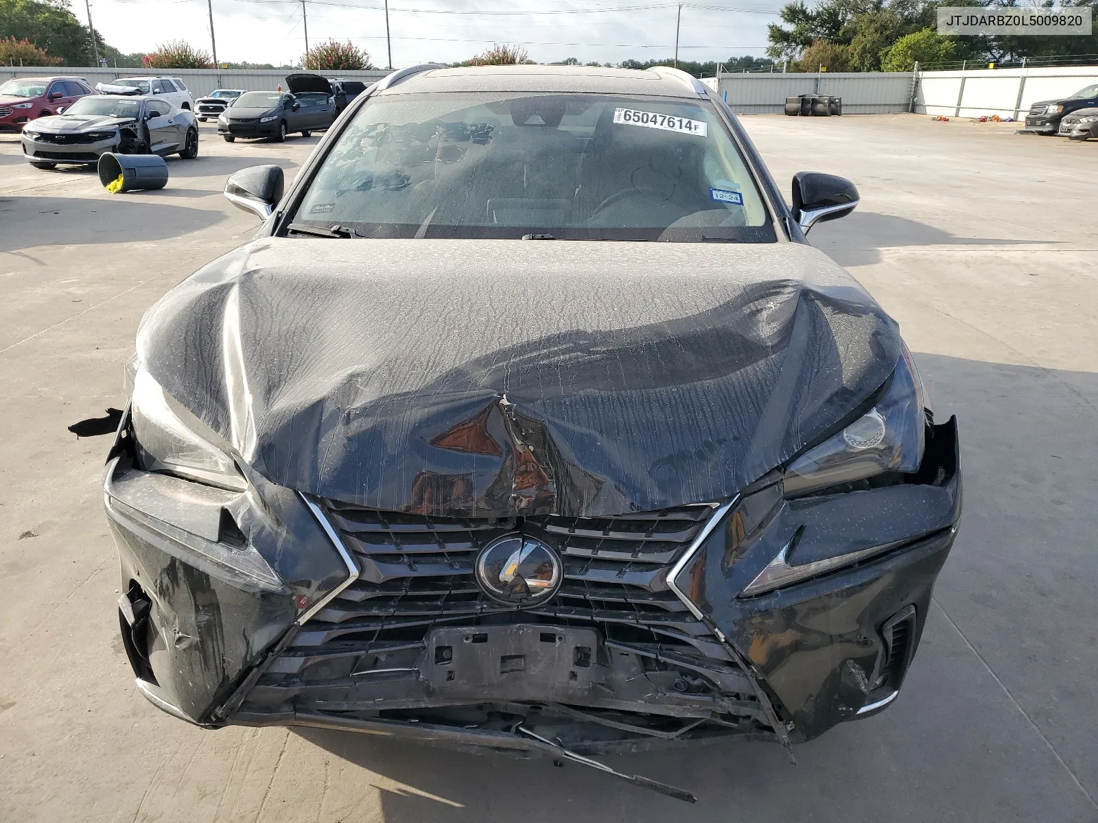 2020 Lexus Nx 300 VIN: JTJDARBZ0L5009820 Lot: 65047614