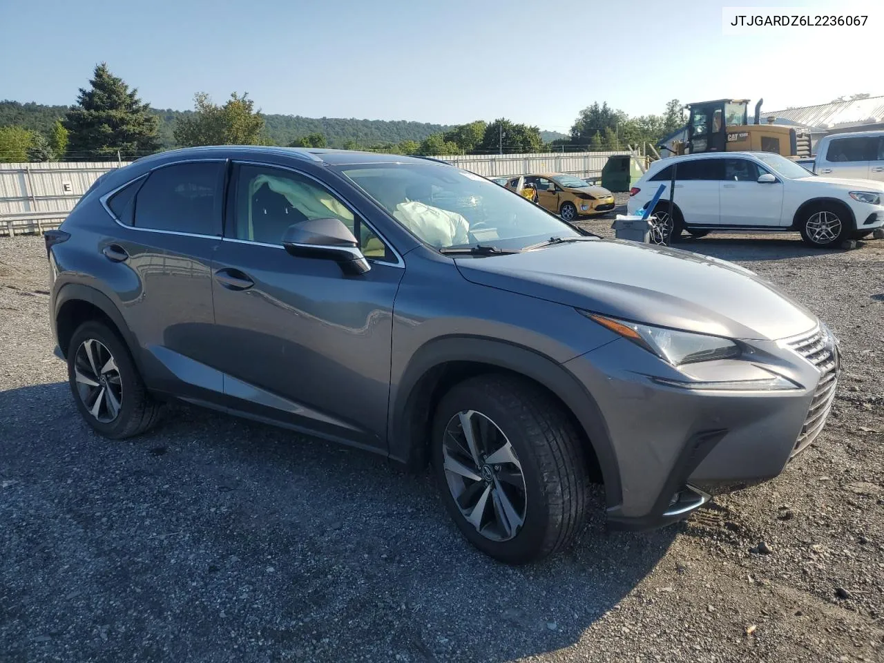 JTJGARDZ6L2236067 2020 Lexus Nx 300