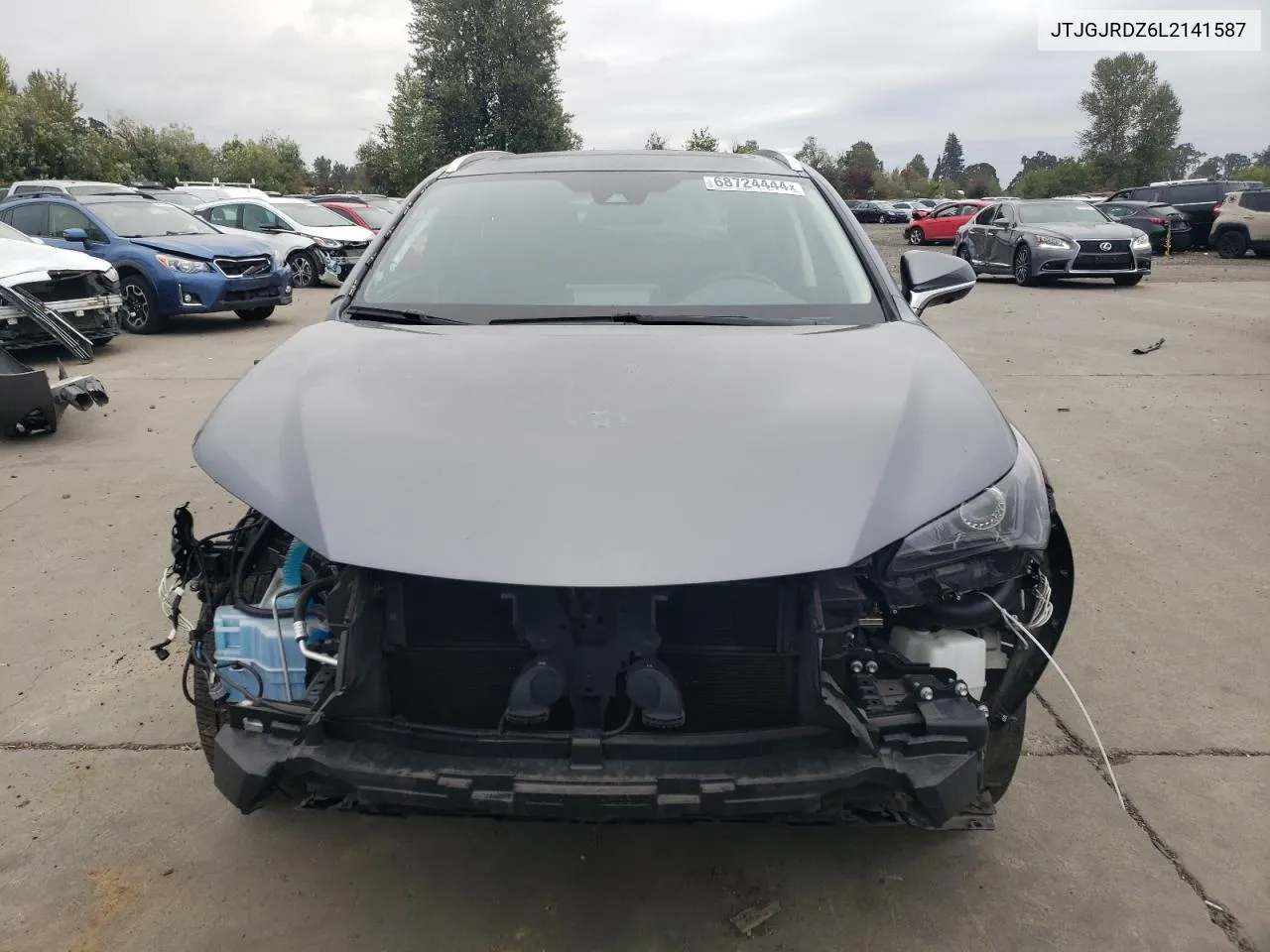 2020 Lexus Nx 300H VIN: JTJGJRDZ6L2141587 Lot: 68724444