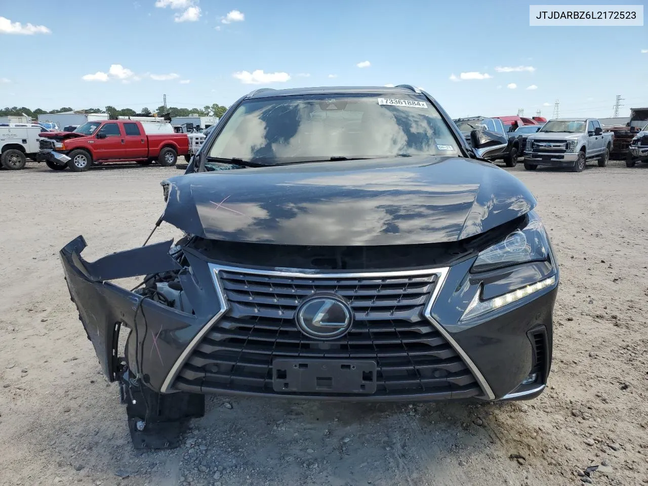 2020 Lexus Nx 300 VIN: JTJDARBZ6L2172523 Lot: 73361884