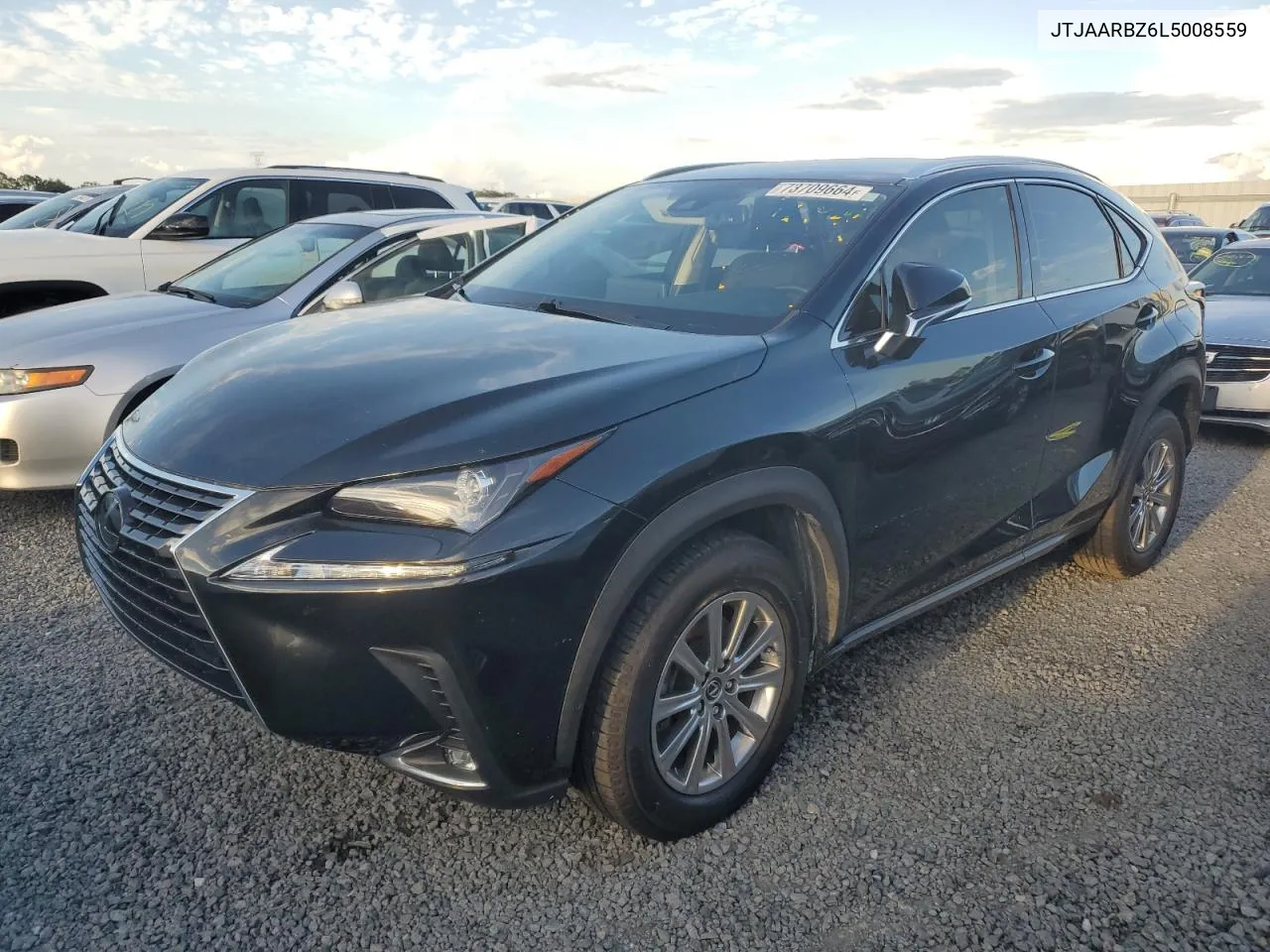 2020 Lexus Nx 300 Base VIN: JTJAARBZ6L5008559 Lot: 73709664