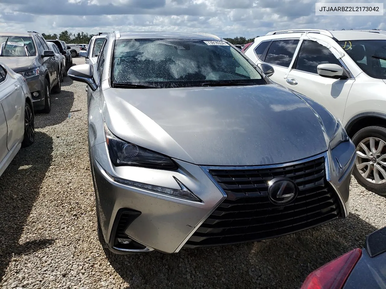 2020 Lexus Nx 300 Base VIN: JTJAARBZ2L2173042 Lot: 73918334