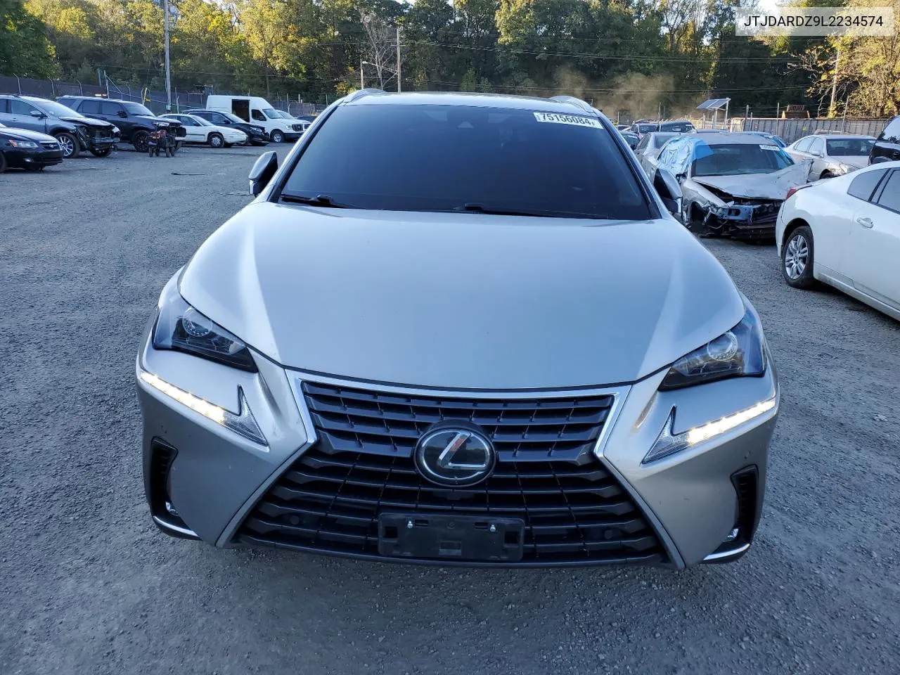 2020 Lexus Nx 300 VIN: JTJDARDZ9L2234574 Lot: 75156084