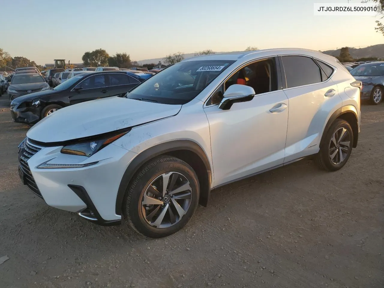 2020 Lexus Nx 300H VIN: JTJGJRDZ6L5009010 Lot: 80268654