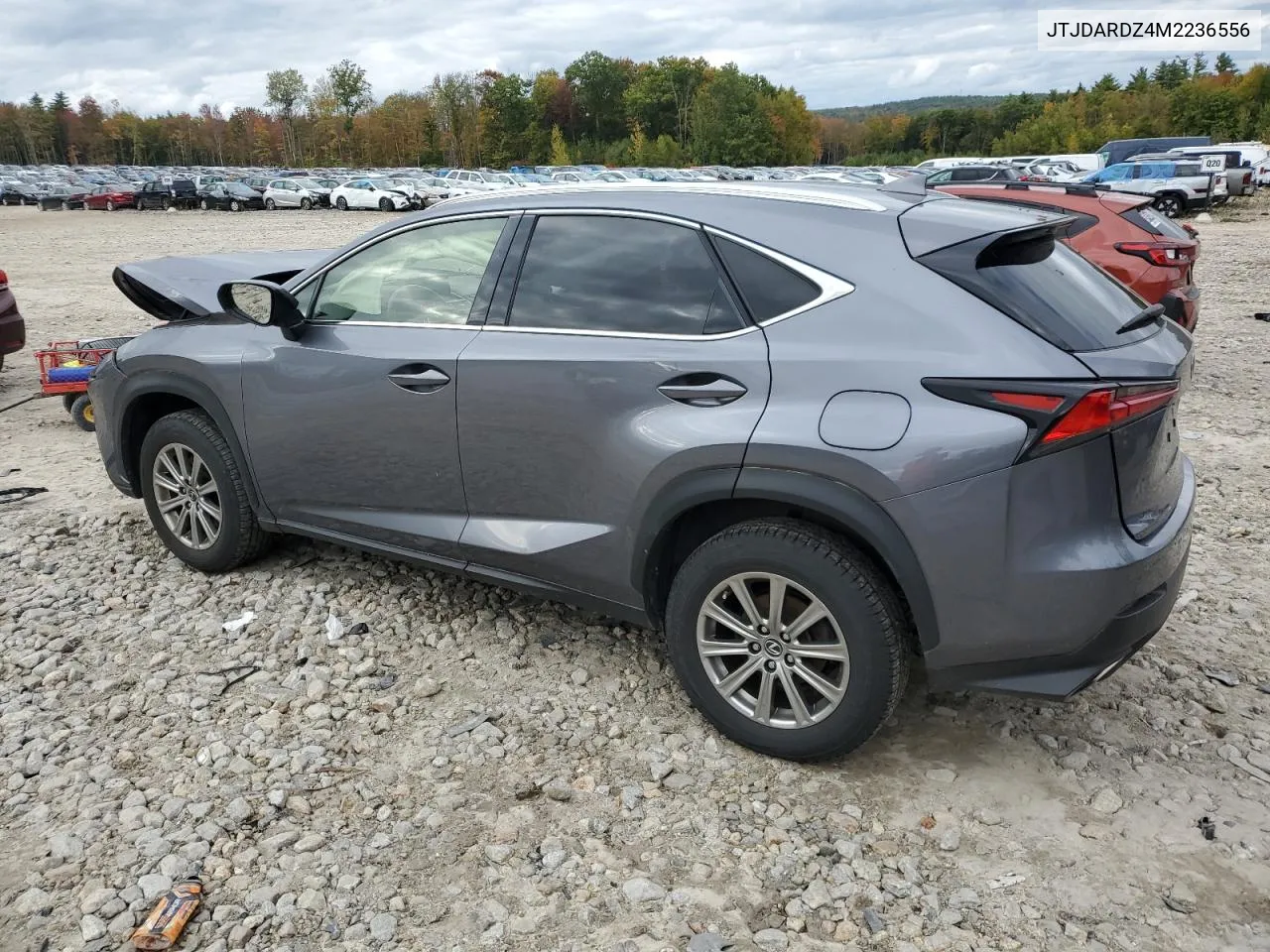 2021 Lexus Nx 300 Base VIN: JTJDARDZ4M2236556 Lot: 74327984