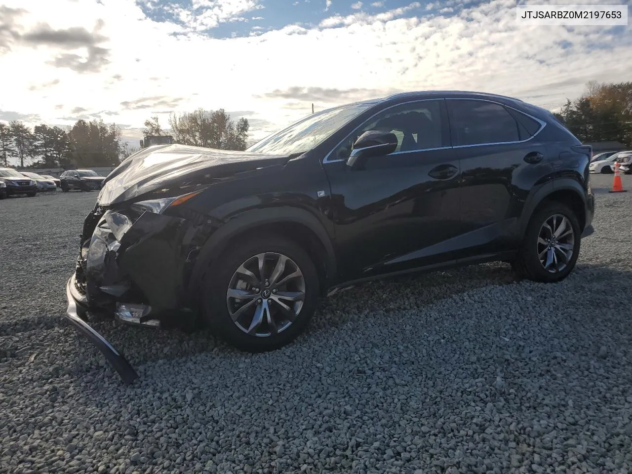 2021 Lexus Nx 300 Base VIN: JTJSARBZ0M2197653 Lot: 79363684