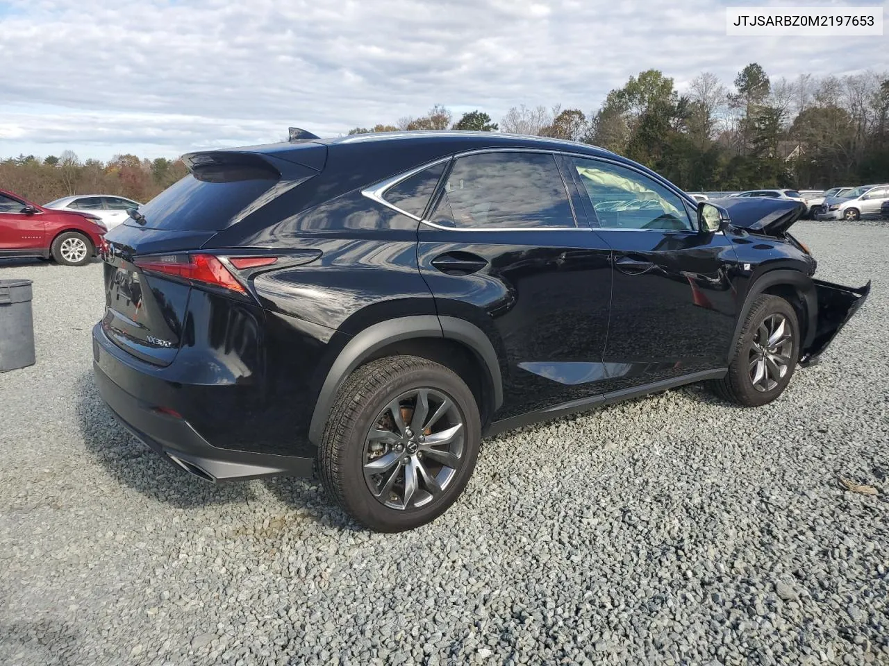 2021 Lexus Nx 300 Base VIN: JTJSARBZ0M2197653 Lot: 79363684