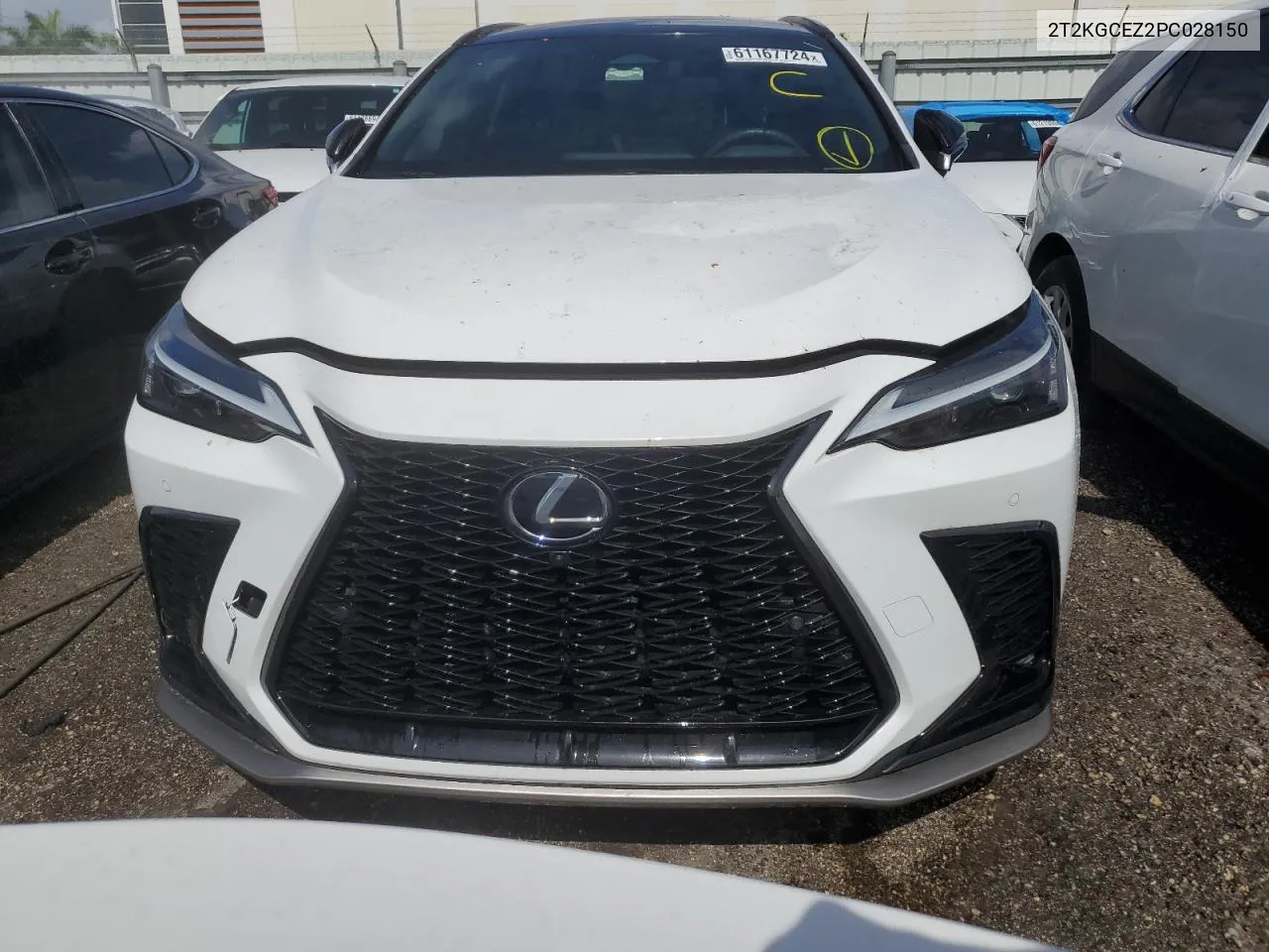 2023 Lexus Nx 350 VIN: 2T2KGCEZ2PC028150 Lot: 61167724