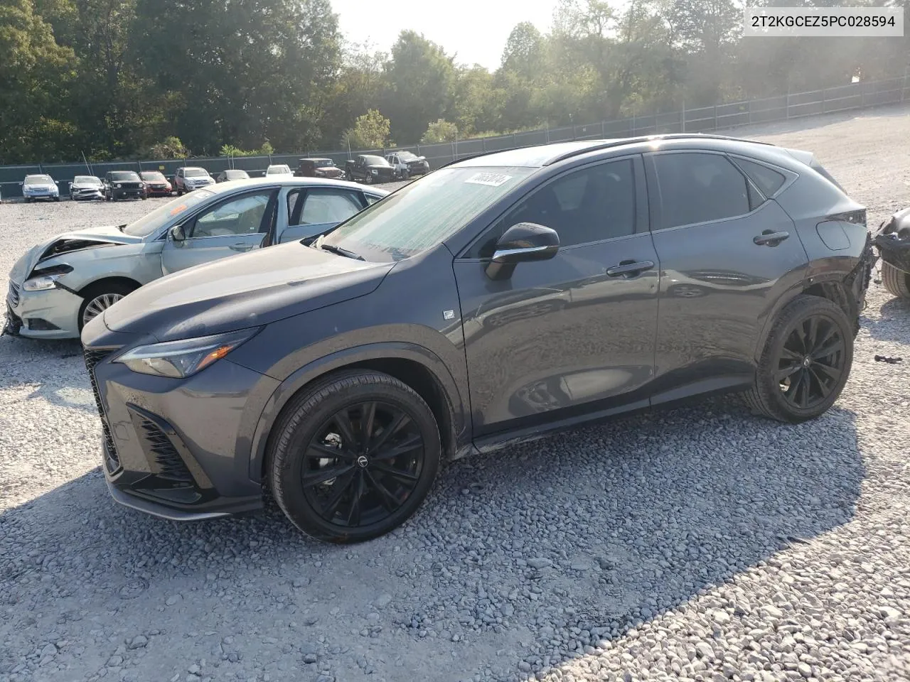 2023 Lexus Nx 350 VIN: 2T2KGCEZ5PC028594 Lot: 70652074