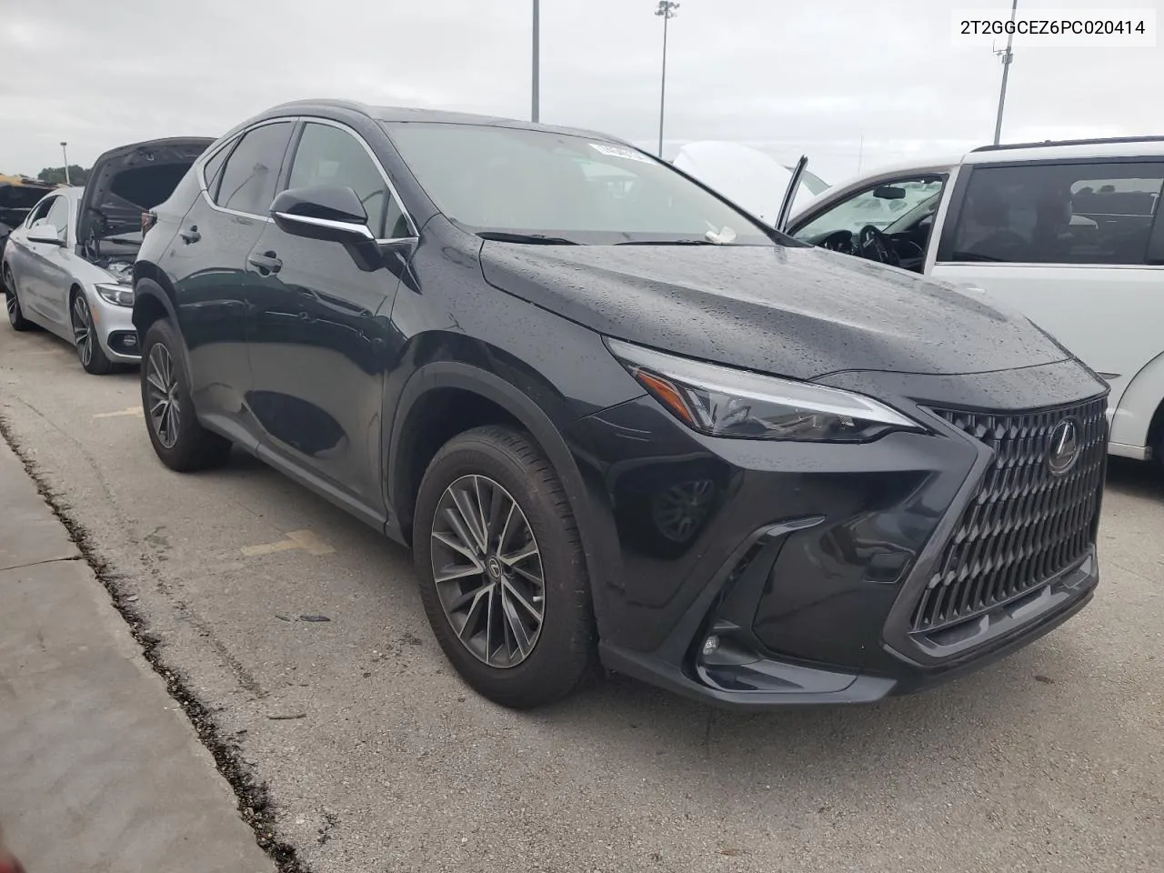 2023 Lexus Nx 350 VIN: 2T2GGCEZ6PC020414 Lot: 74540134