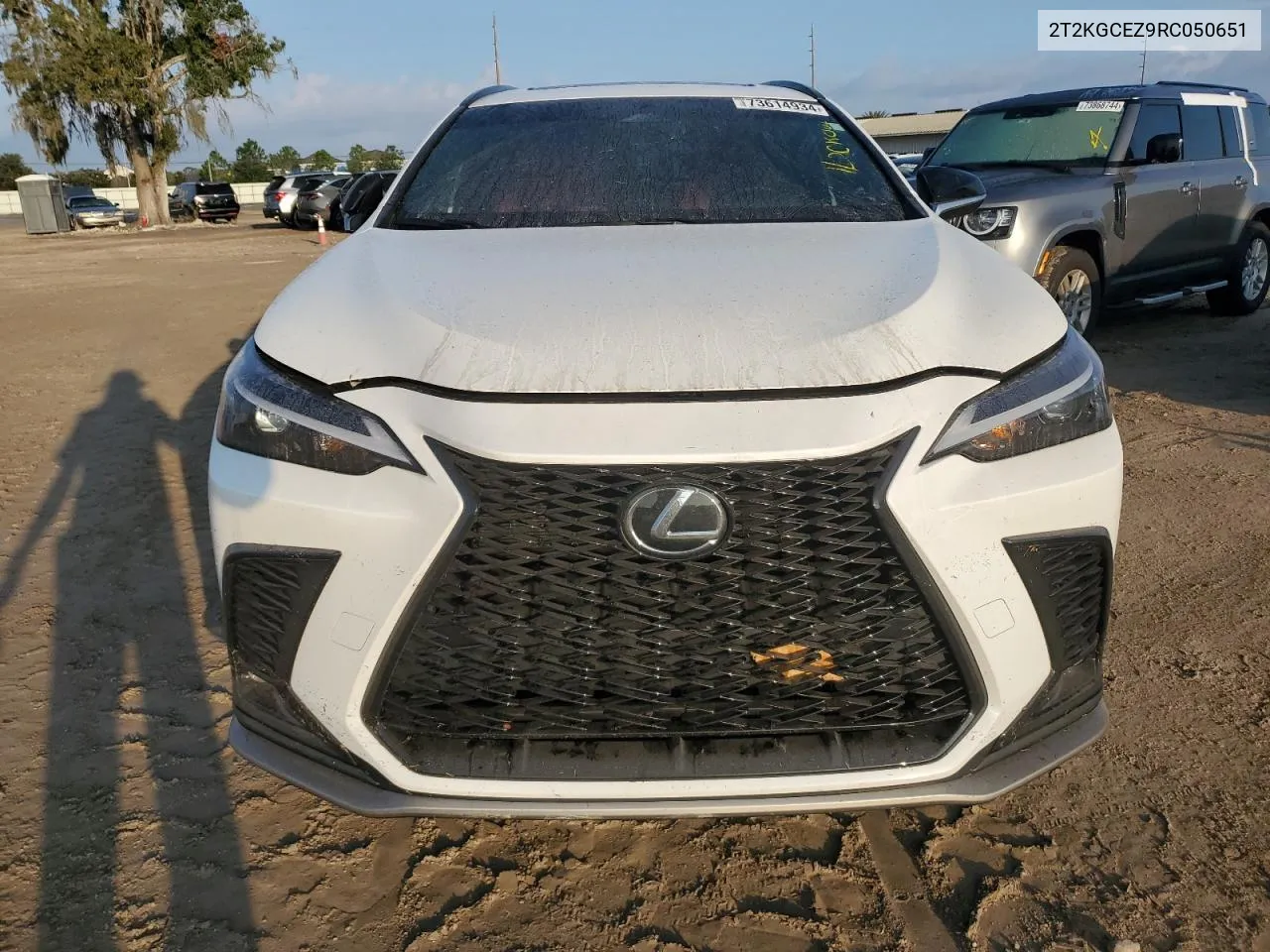 2024 Lexus Nx 350 Luxury VIN: 2T2KGCEZ9RC050651 Lot: 73614934