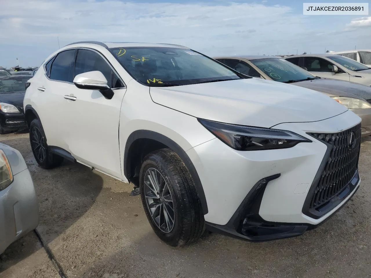 2024 Lexus Nx 350H Base VIN: JTJAKCEZ0R2036891 Lot: 75178374