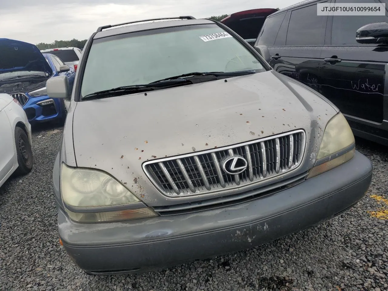 2001 Lexus Rx 300 VIN: JTJGF10U610099654 Lot: 73758464