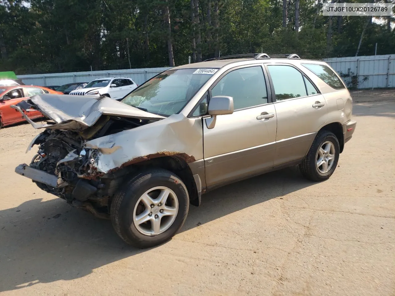 2002 Lexus Rx 300 VIN: JTJGF10UX20126789 Lot: 70904464