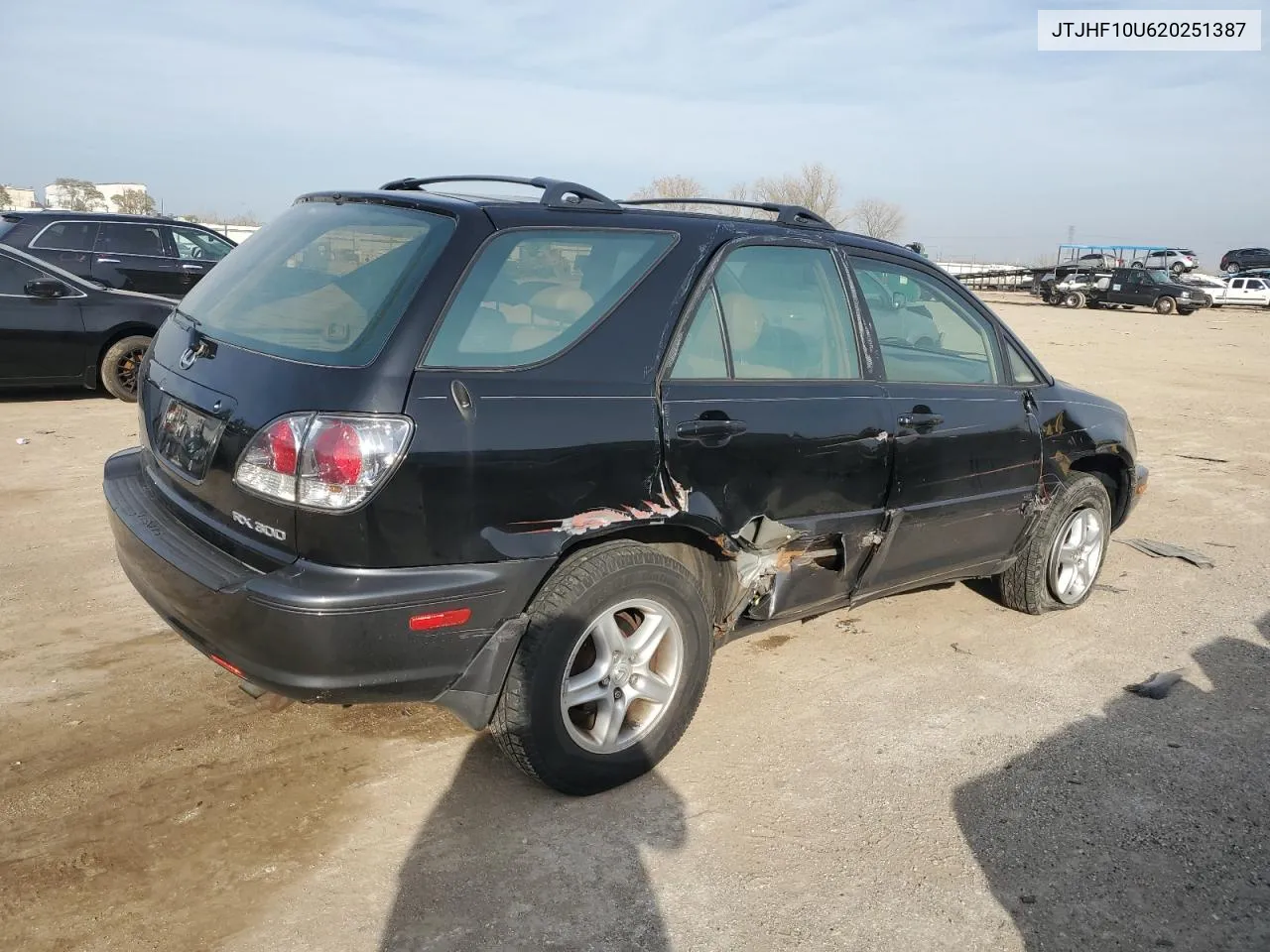 2002 Lexus Rx 300 VIN: JTJHF10U620251387 Lot: 78190734