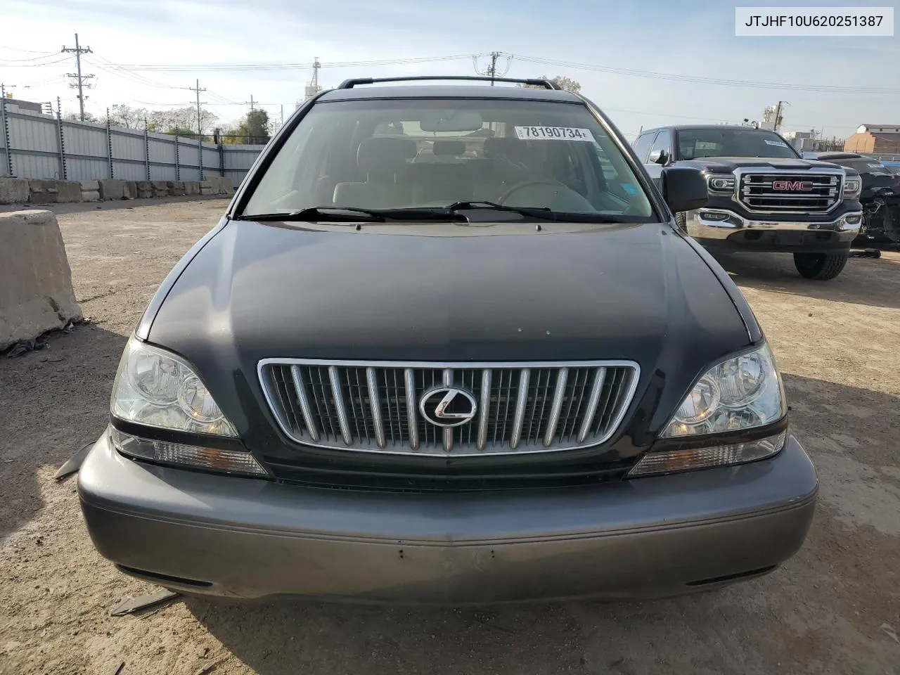 2002 Lexus Rx 300 VIN: JTJHF10U620251387 Lot: 78190734