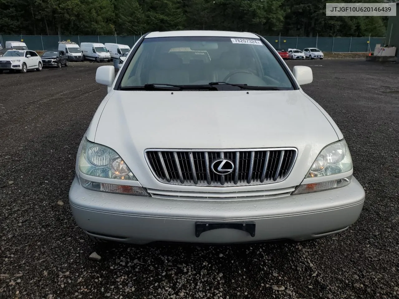 2002 Lexus Rx 300 VIN: JTJGF10U620146439 Lot: 78207324