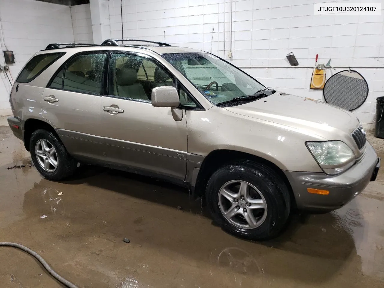 2002 Lexus Rx 300 VIN: JTJGF10U320124107 Lot: 78308784