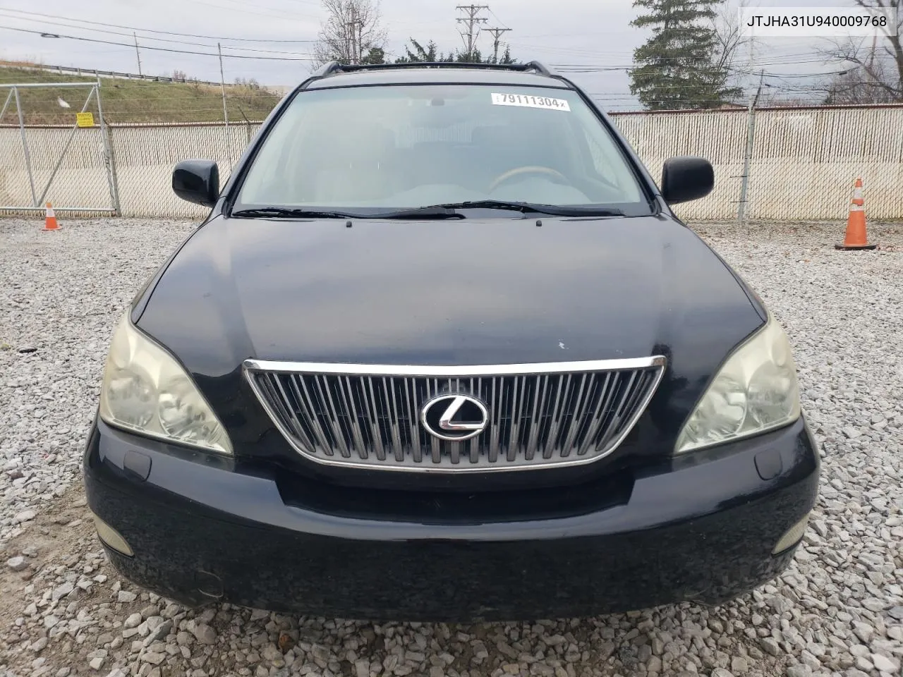 2004 Lexus Rx 330 VIN: JTJHA31U940009768 Lot: 79111304