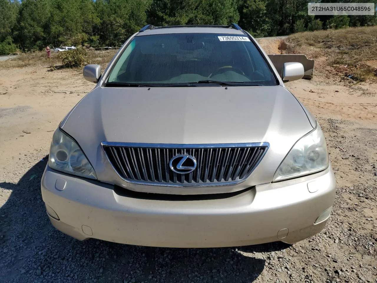 2005 Lexus Rx 330 VIN: 2T2HA31U65C048596 Lot: 73695314