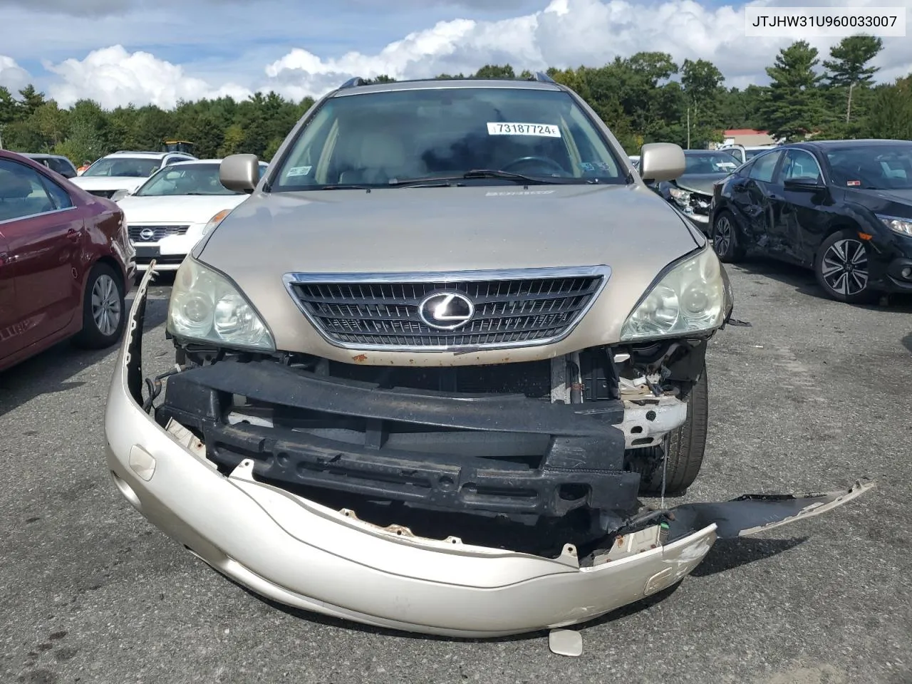 2006 Lexus Rx 400 VIN: JTJHW31U960033007 Lot: 73187724