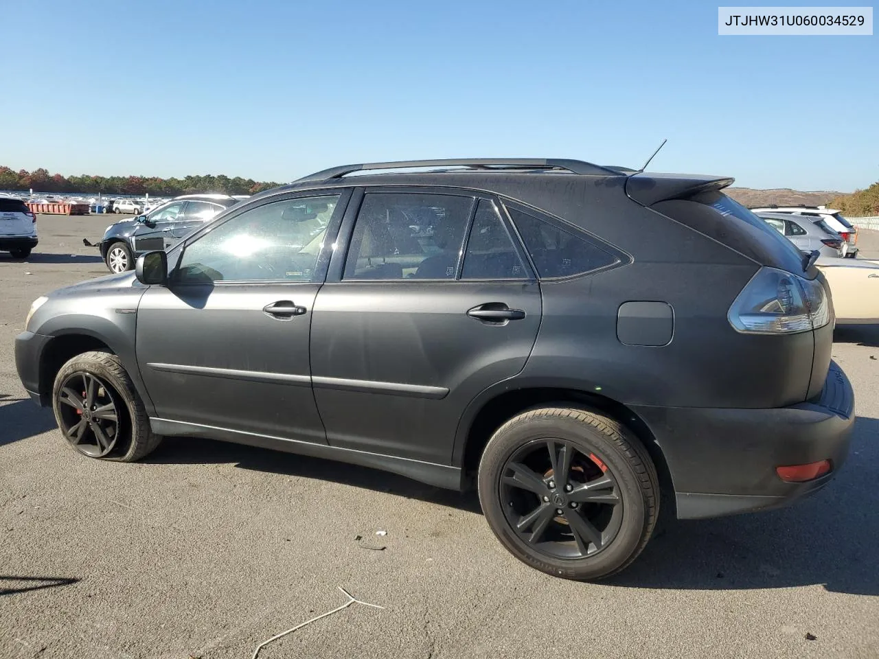 2006 Lexus Rx 400 VIN: JTJHW31U060034529 Lot: 76907904