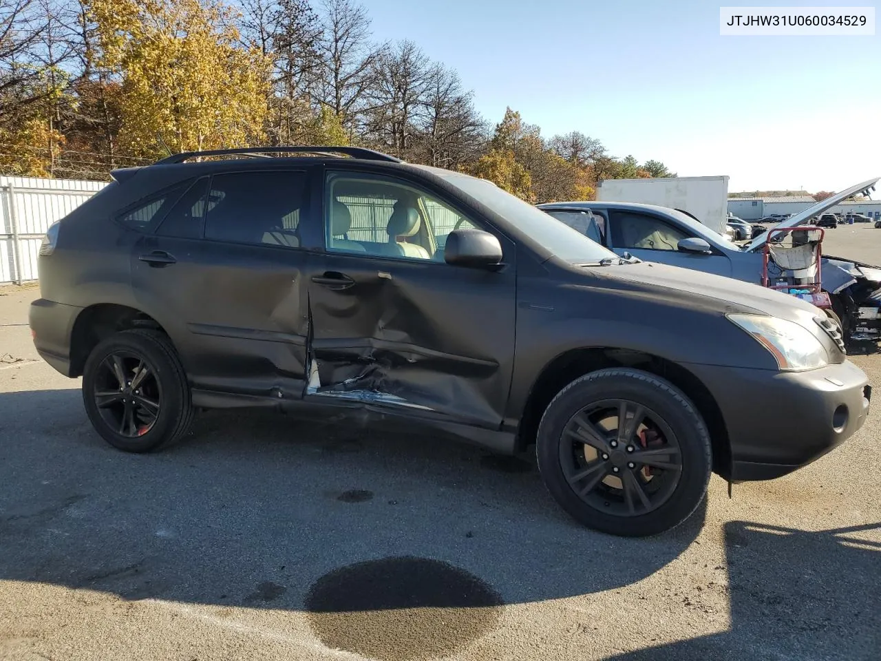 2006 Lexus Rx 400 VIN: JTJHW31U060034529 Lot: 76907904