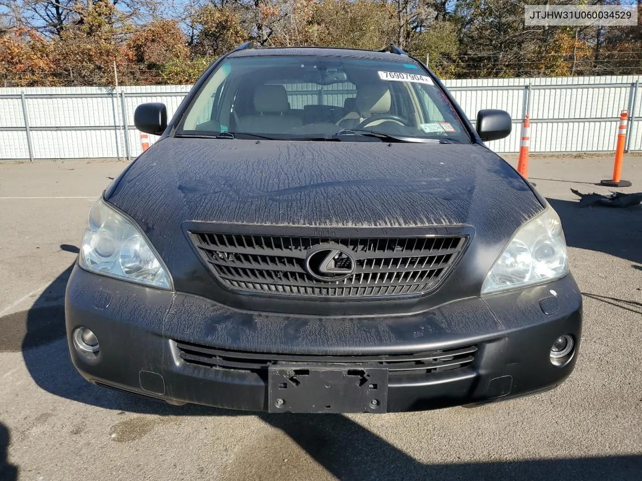 2006 Lexus Rx 400 VIN: JTJHW31U060034529 Lot: 76907904