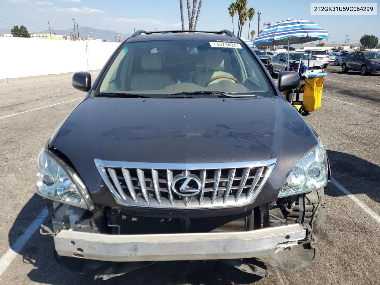 2009 Lexus Rx 350 VIN: 2T2GK31U59C064299 Lot: 73521424