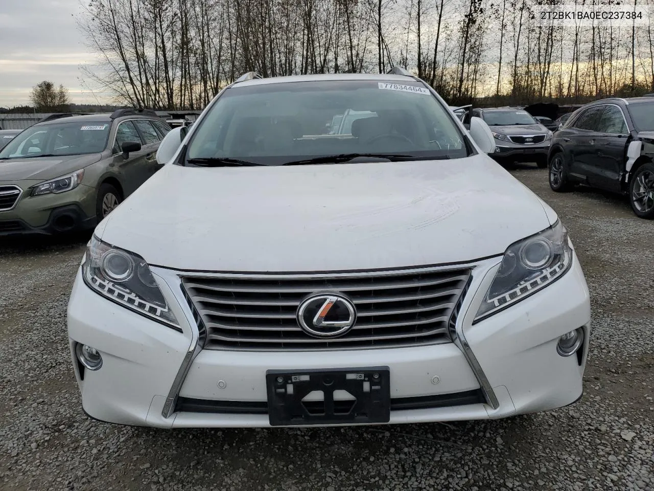 2014 Lexus Rx 350 Base VIN: 2T2BK1BA0EC237384 Lot: 77834464