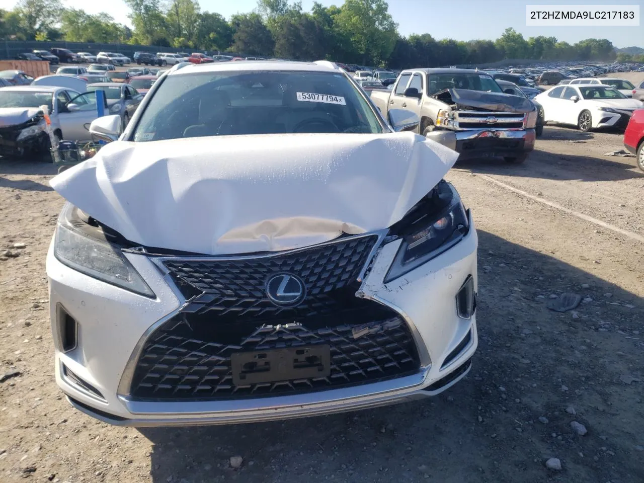 2020 Lexus Rx 350 VIN: 2T2HZMDA9LC217183 Lot: 53077794