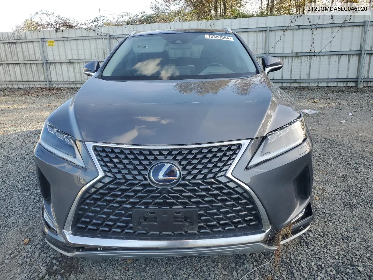 2020 Lexus Rx 450H VIN: 2T2JGMDA6LC046920 Lot: 72389654