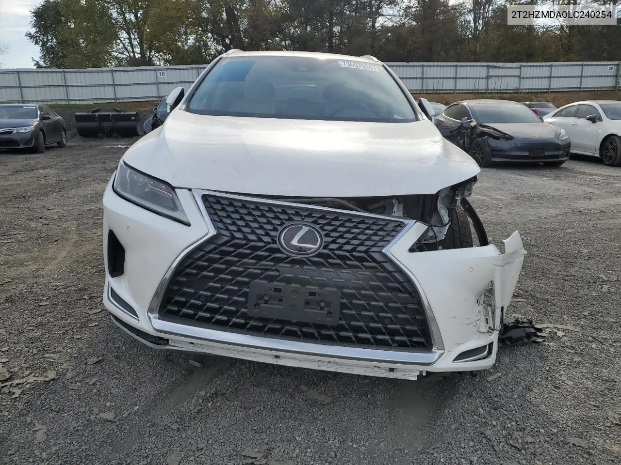 2020 Lexus Rx 350 VIN: 2T2HZMDA0LC240254 Lot: 73693924