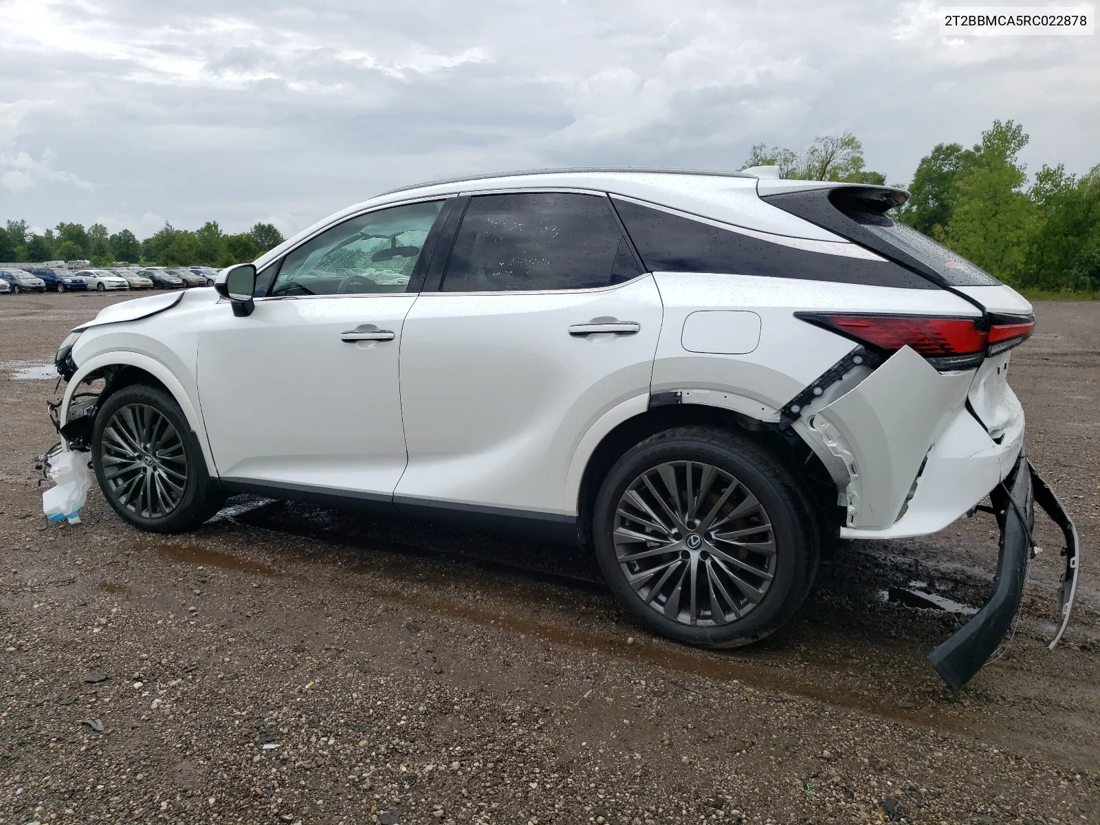 2024 Lexus Rx 350H Base VIN: 2T2BBMCA5RC022878 Lot: 64981744