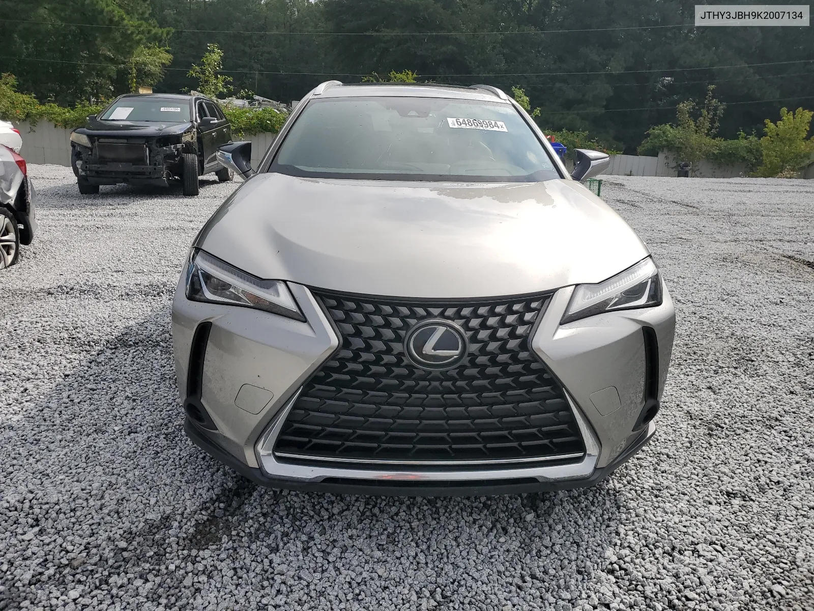 2019 Lexus Ux 200 VIN: JTHY3JBH9K2007134 Lot: 64869984